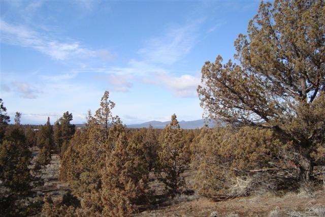 Prineville, OR 97754 :: Fred Real Estate Group of Central Oregon