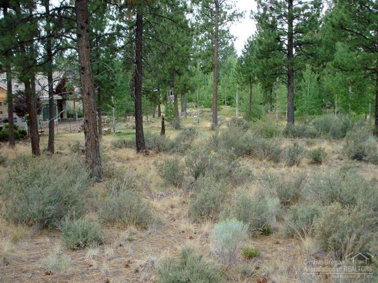 19066 NW Mt. Mcloughlin Lane, Bend, OR 97701 (MLS #201407324) :: Birtola Garmyn High Desert Realty