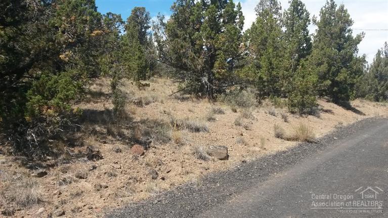 0 Weatherby Loop - Photo 1