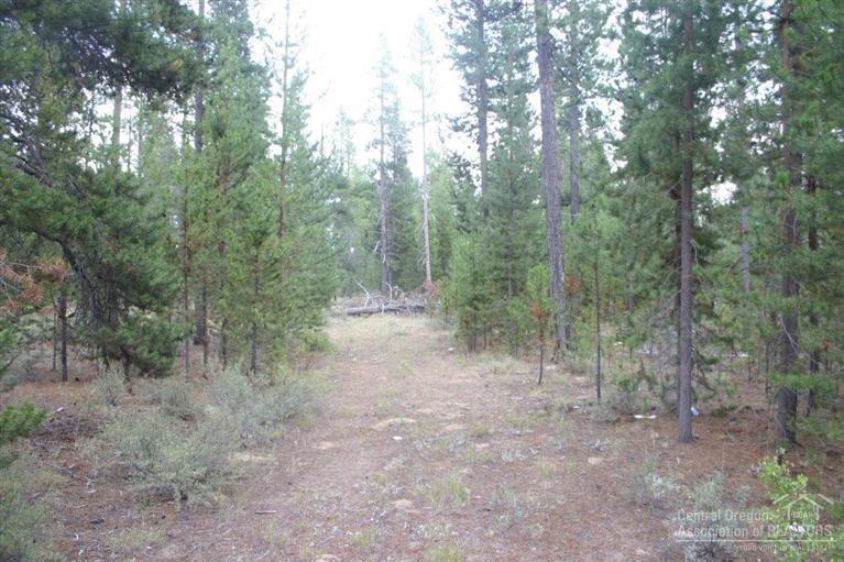 16175 Blackfeather Lane - Photo 1