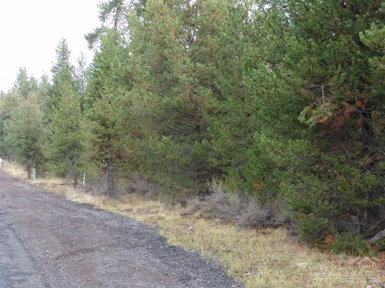 53080 Day Road - Photo 1
