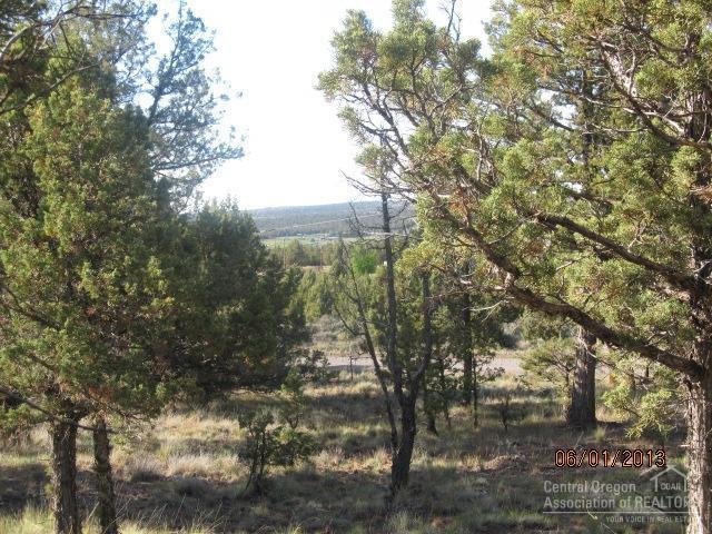 0 Winchester Loop - Photo 1