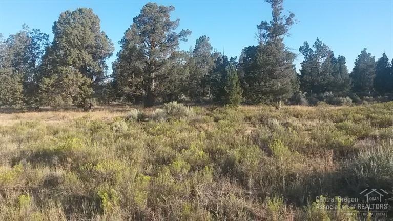 Prineville, OR 97754 :: Birtola Garmyn High Desert Realty