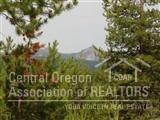 55 Royce Mountain - Photo 1