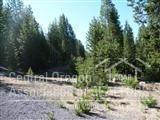58 Royce Mountain Way - Photo 1