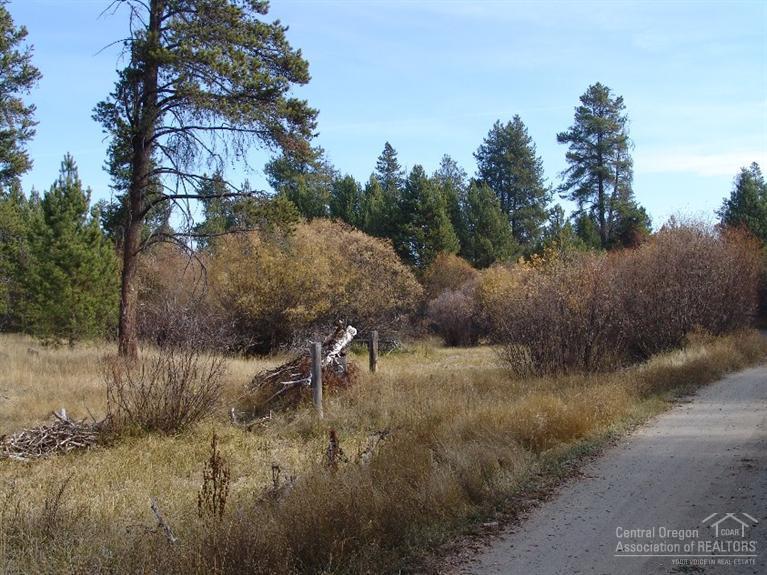 15466 Cascade Drive - Photo 1
