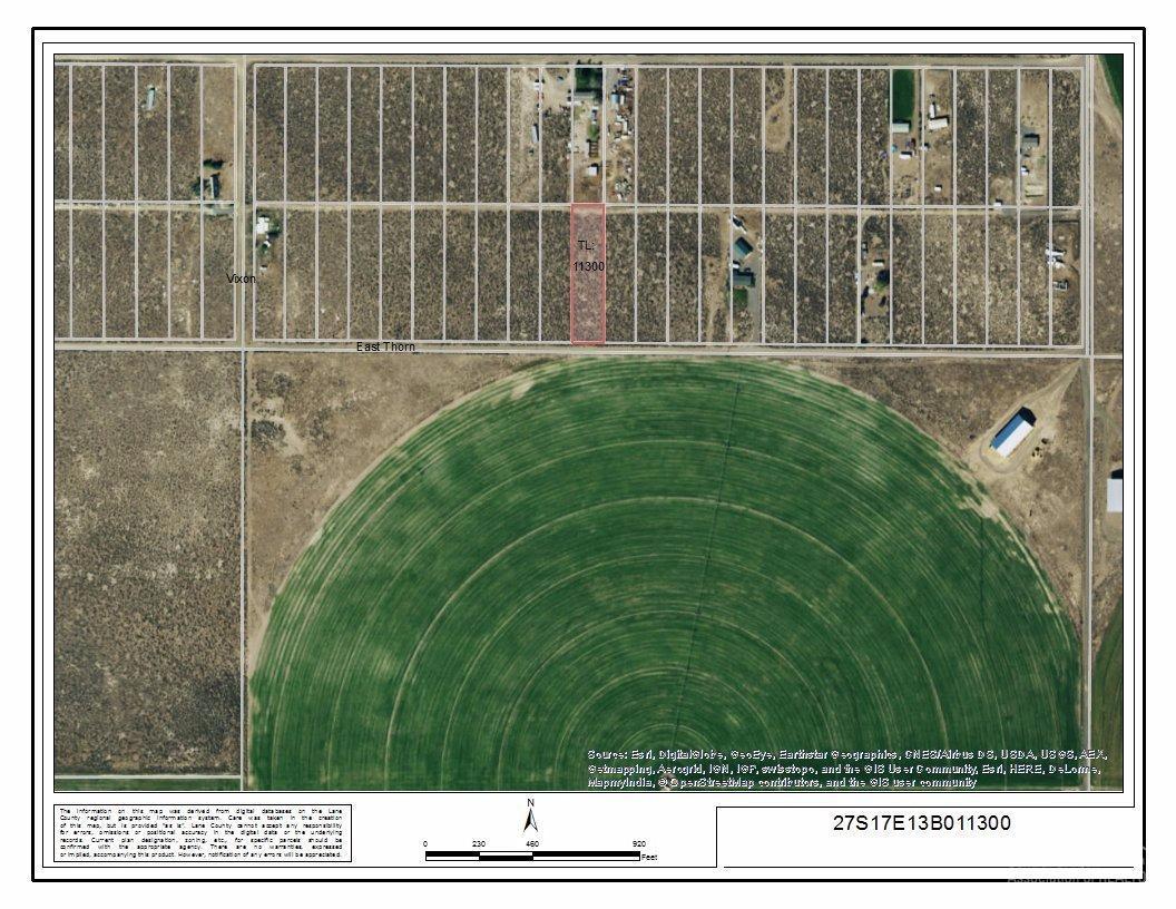 11300 Thorn Street - Photo 1