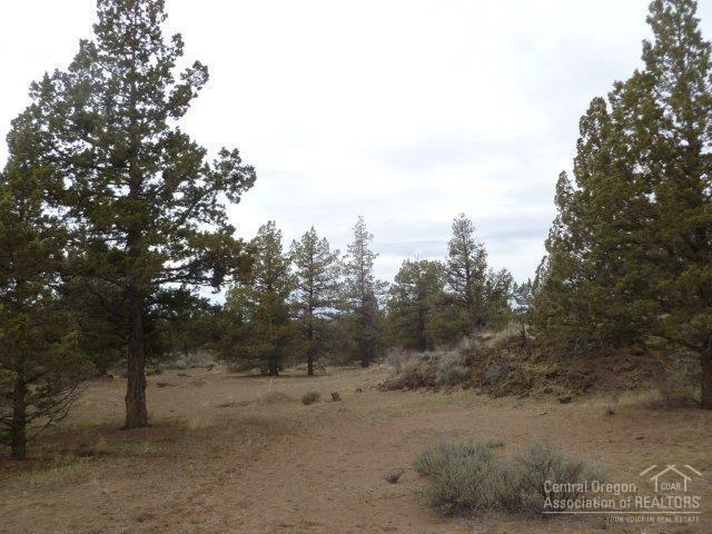 5811 66th Lane - Photo 1