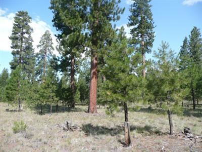14567 Crossroads Loop, Sisters, OR 97759 (MLS #201602632) :: Birtola Garmyn High Desert Realty
