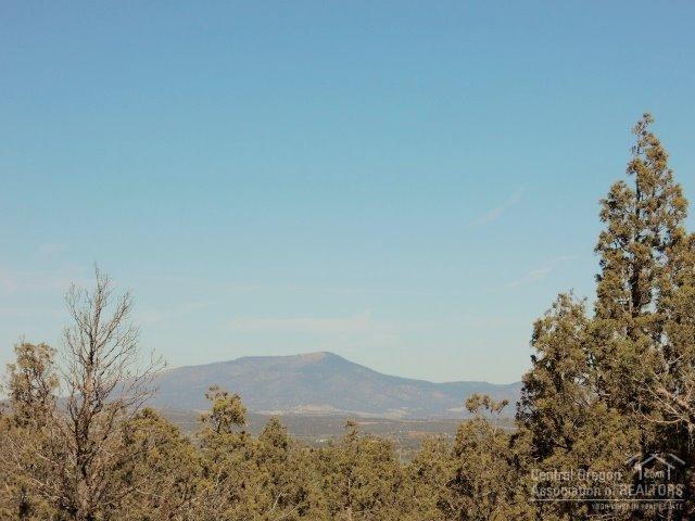 8056 Red Cloud Lane - Photo 1