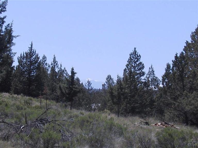 13601 Canyon Drive - Photo 1