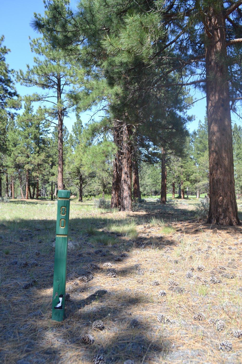 17082 Royal Coachman, Lot 80 Drive, Sisters, OR 97759 (MLS #201604530) :: Birtola Garmyn High Desert Realty