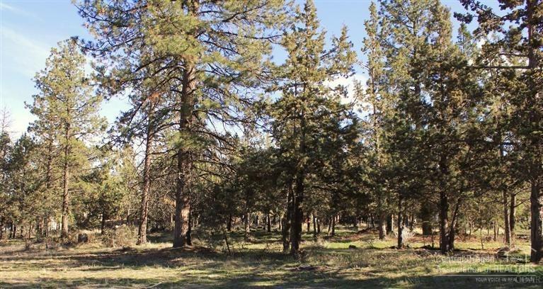 0 Ellamae Place, Bend, OR 97701 (MLS #201604952) :: Birtola Garmyn High Desert Realty