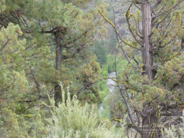 17725 Mountain View Road - Photo 1