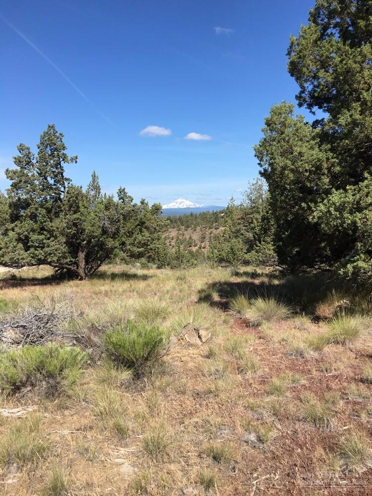 23 SW Cinder Cone Loop, Terrebonne, OR 97760 (MLS #201605493) :: Birtola Garmyn High Desert Realty