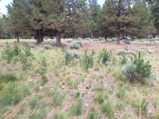 17074 Lady Caroline Drive, Sisters, OR 97759 (MLS #201605858) :: Birtola Garmyn High Desert Realty