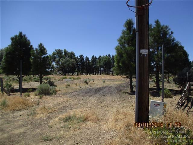 55420 Earl Road - Photo 1