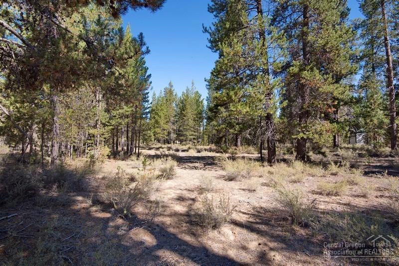 53434 Holiday Drive, La Pine, OR 97739 (MLS #201608867) :: Birtola Garmyn High Desert Realty