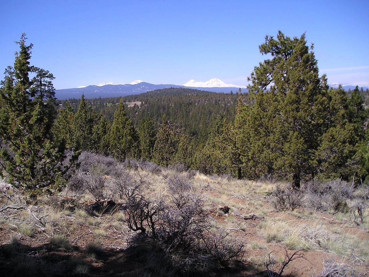 1660 NW Wild Rye Circle, Bend, OR 97703 (MLS #201609236) :: Birtola Garmyn High Desert Realty