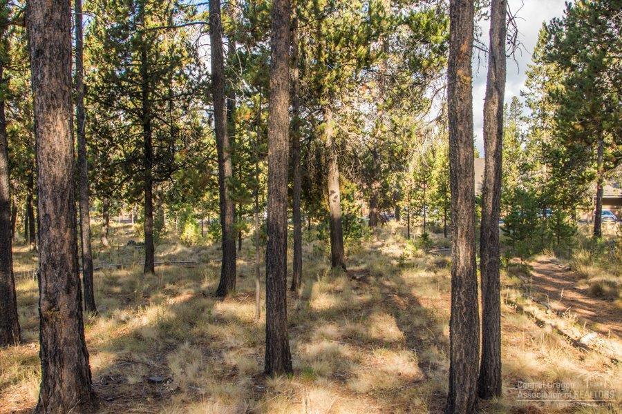 57765 Lassen Lane - Photo 1