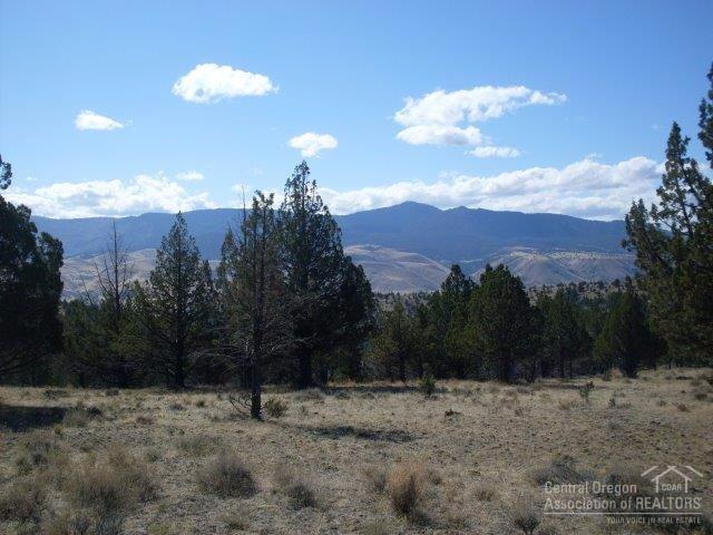 0 Wiley Creek Road - Photo 1