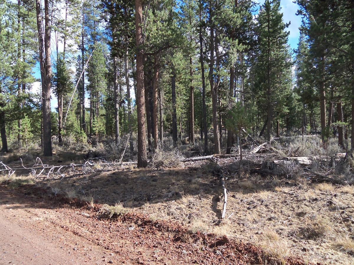 5900 Larchwood Drive Lot, La Pine, OR 97739 (MLS #201609934) :: Birtola Garmyn High Desert Realty