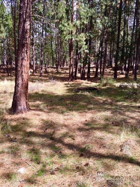 60134 Turquoise Road - Photo 1