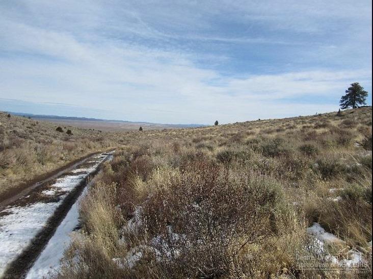 55395 Fox Butte Road - Photo 1