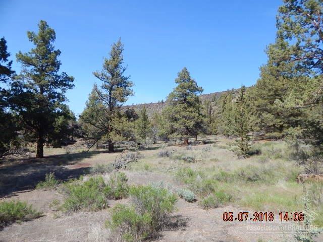 0 Steelhead Falls Road - Photo 1