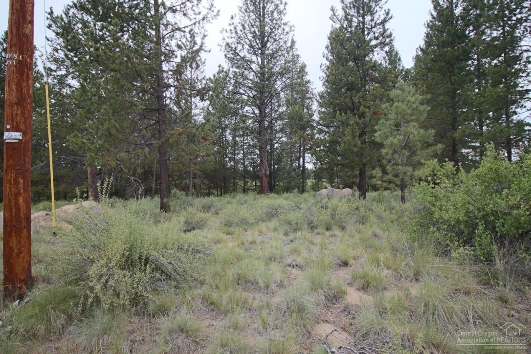 54635 Silver Fox Drive - Photo 1
