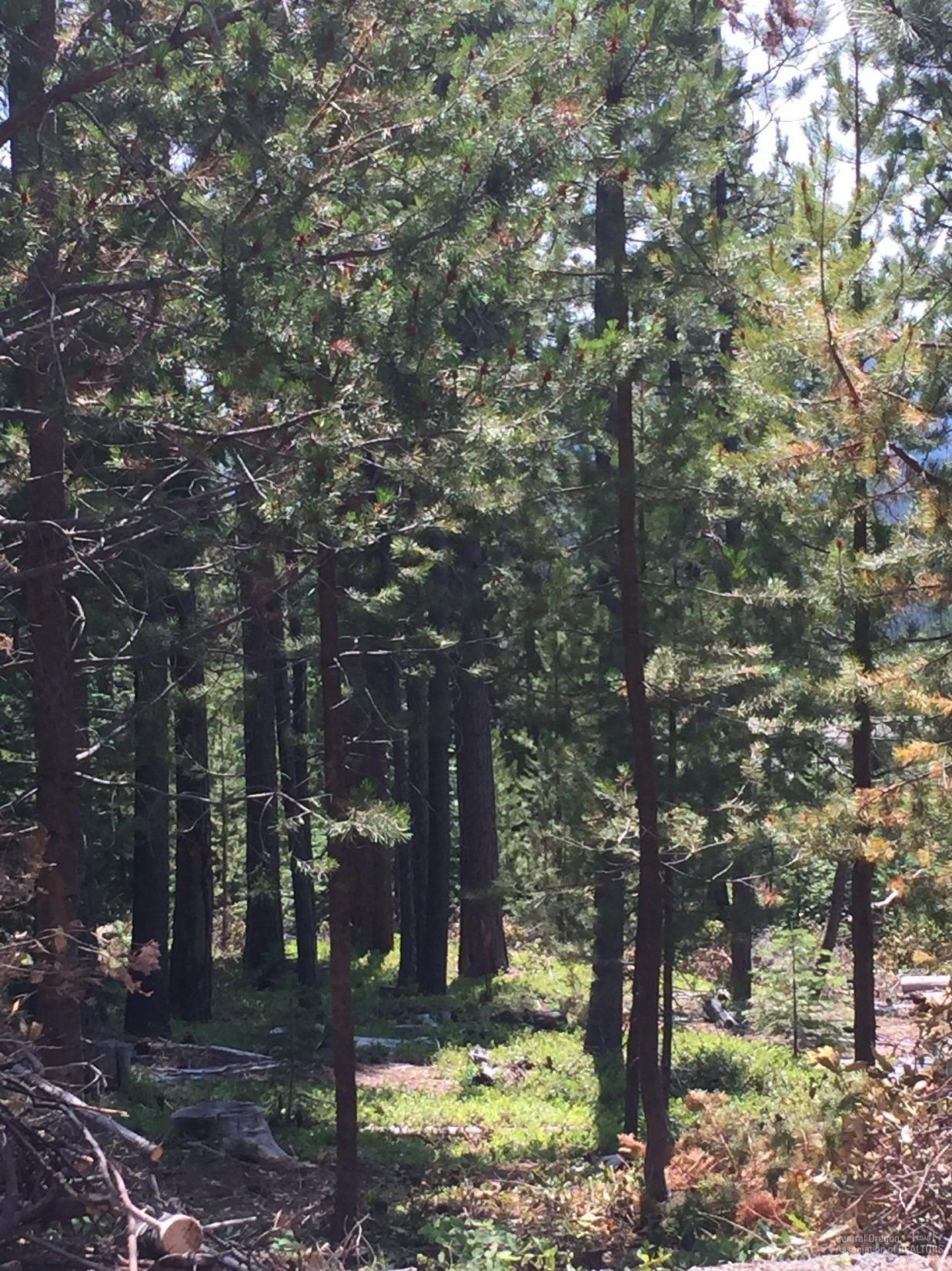 6 Diamond Peak Drive - Photo 1