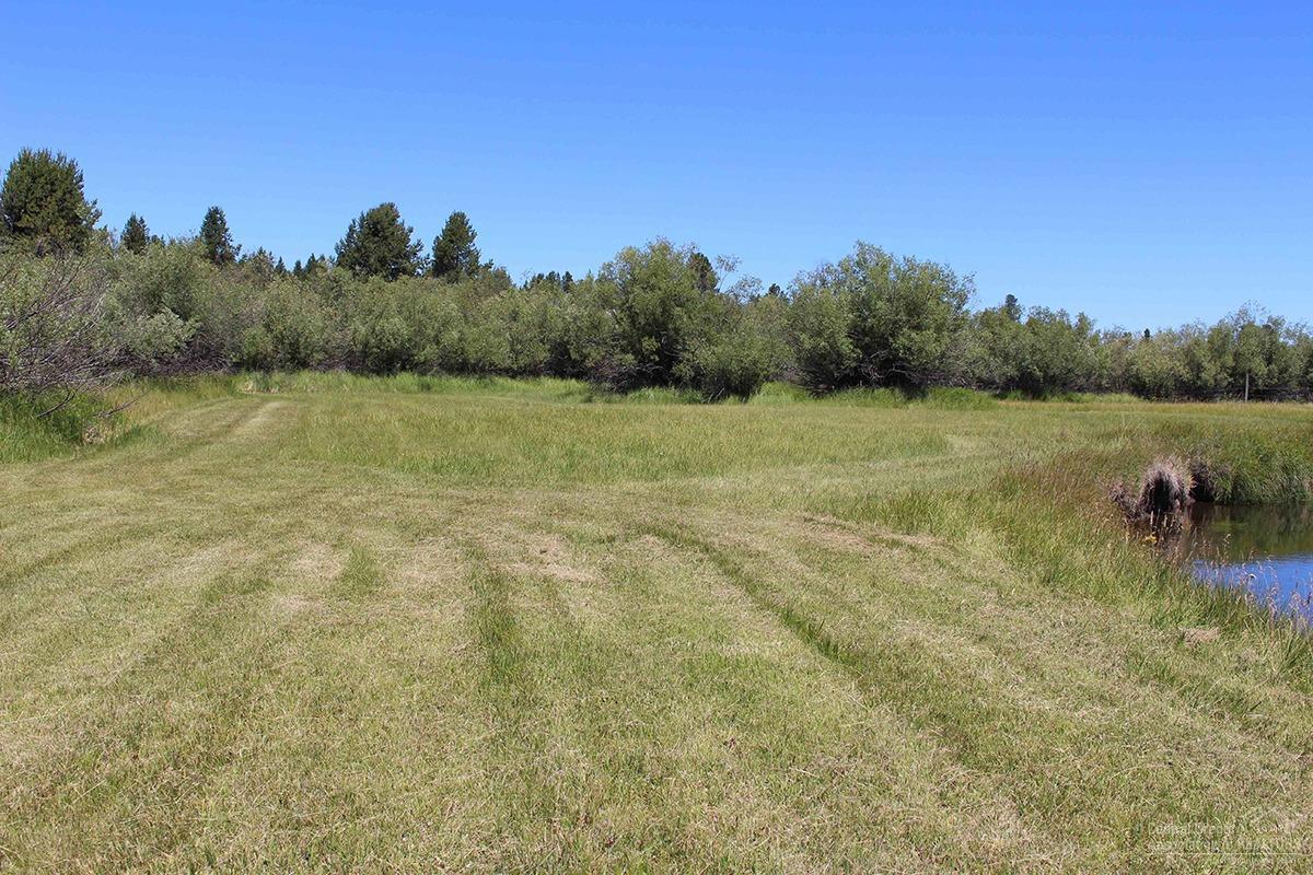 52834 Timber Lane Loop - Photo 1