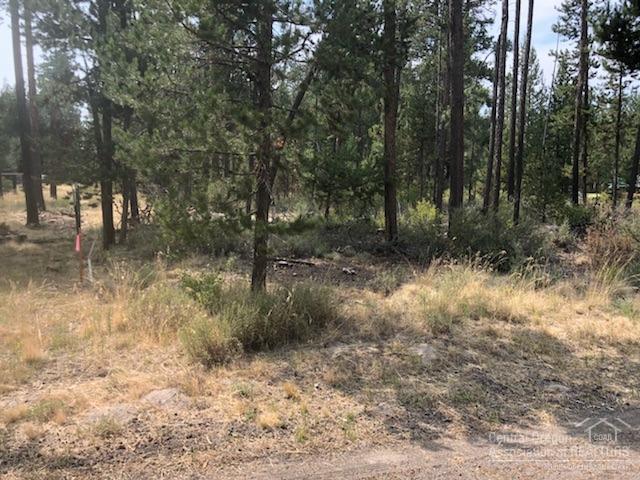 55787 Bivouac Road - Photo 1