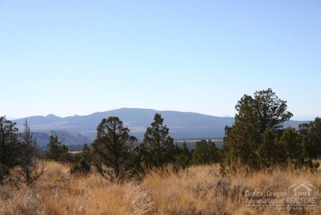 6698 Weatherby Loop - Photo 1