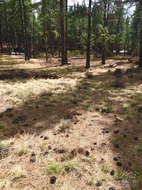 60134 Turquoise Road - Photo 1