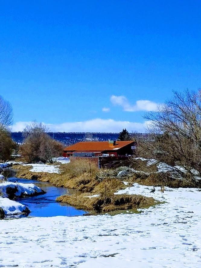 1296 Western Sky - Photo 1
