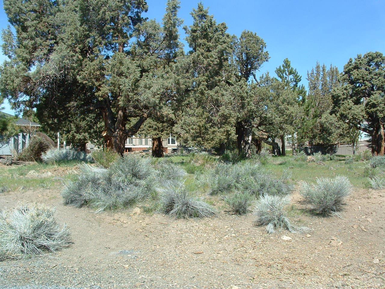 8211 Sora Court - Photo 1