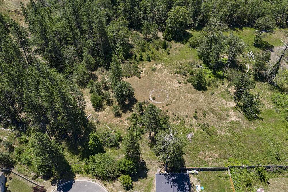 681 Daisy Hill Road - Photo 1