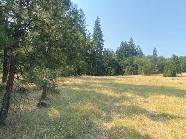 418 Steinman Drive - Photo 1