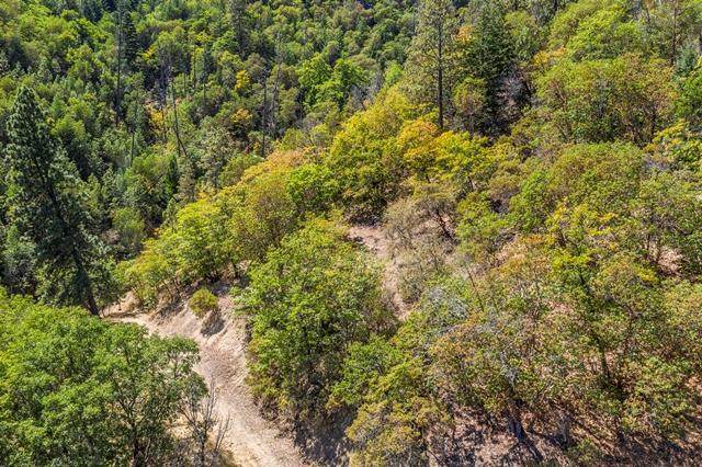 710 Ashland Creek Drive - Photo 1