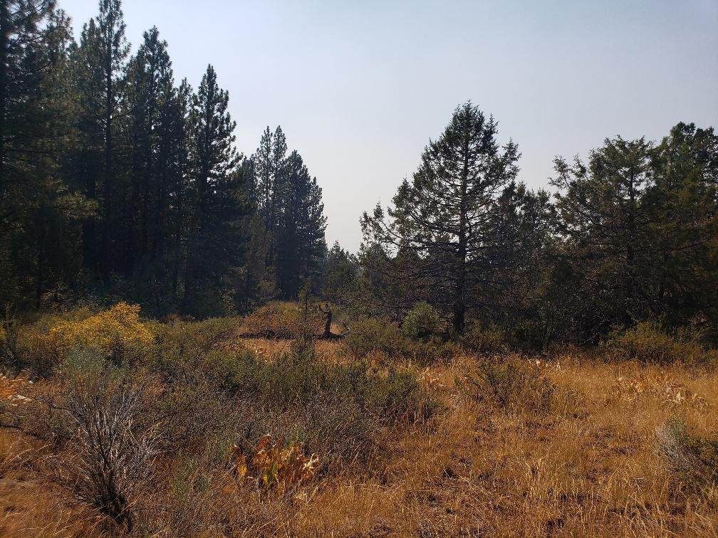 Lot 4 & 5 Guanaco Lane - Photo 1