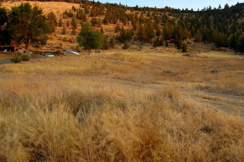 TL 7500 Crestview Road - Photo 1