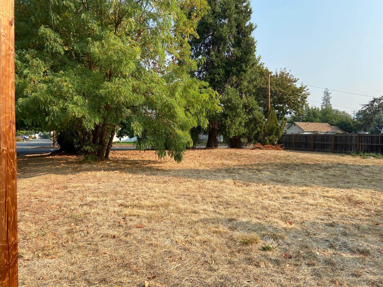 202 Arbor Street - Photo 1