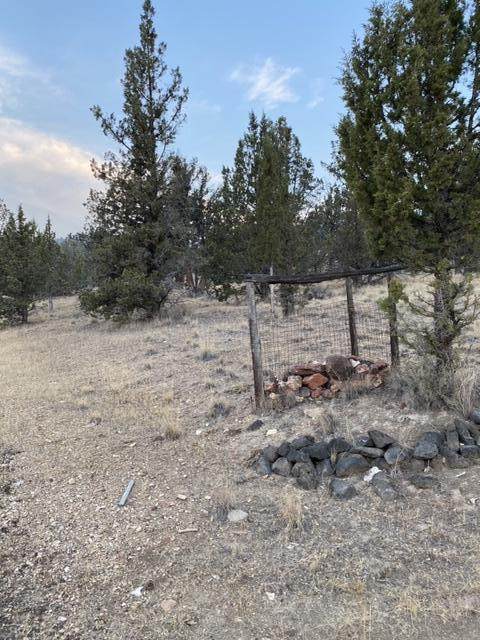 TL8900 Grimes Road - Photo 1