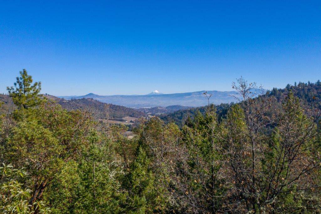 4699 Griffin Creek Road - Photo 1