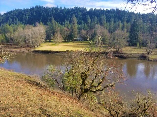 5075 Riverbanks Road - Photo 1