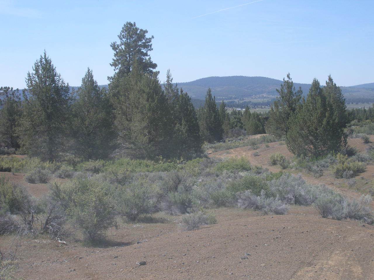 0 Turtle Rock Dr - Photo 1