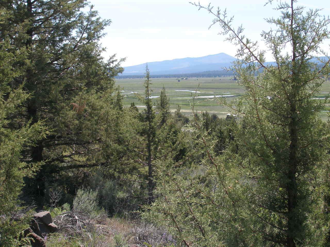 0 Kootenai St Lot 15 - Photo 1