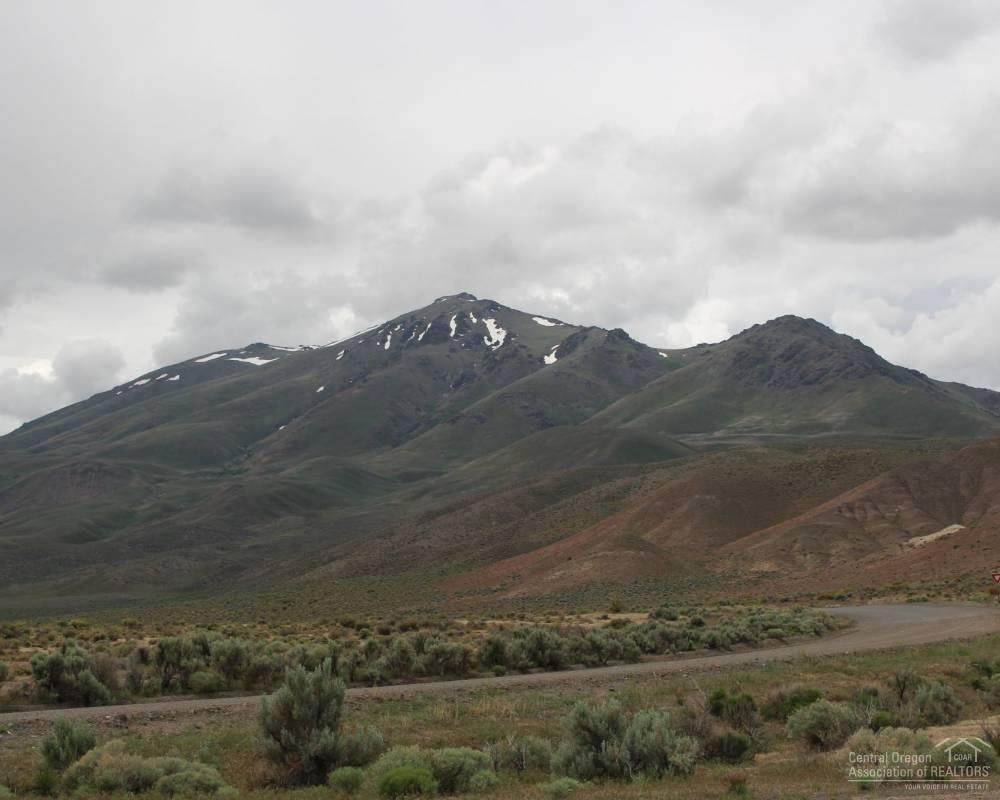 15387 Fields-Denio Road - Photo 1