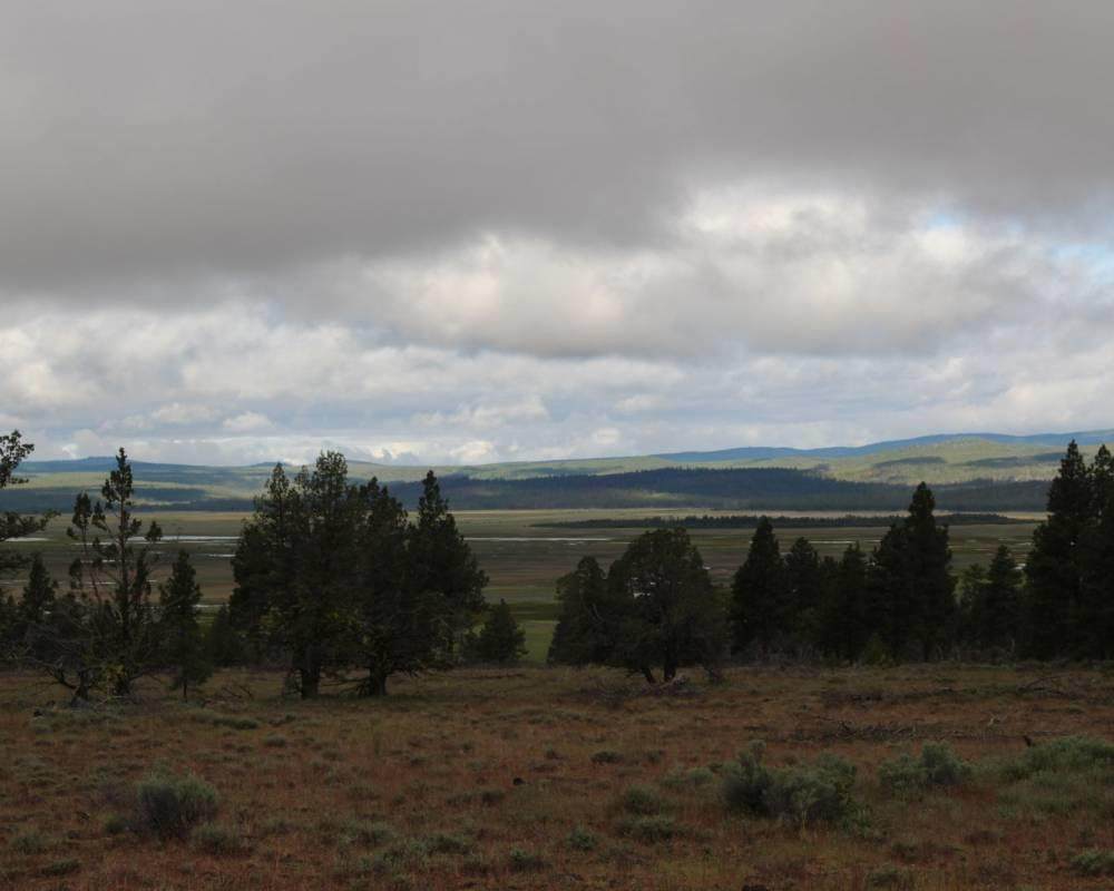 Sycan Marsh 640 Road - Photo 1